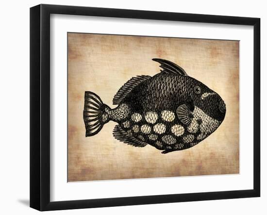 Vintage Fish-NaxArt-Framed Art Print