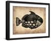 Vintage Fish-NaxArt-Framed Art Print