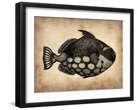 Vintage Fish-NaxArt-Framed Art Print