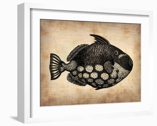 Vintage Fish-NaxArt-Framed Art Print