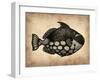 Vintage Fish-NaxArt-Framed Art Print