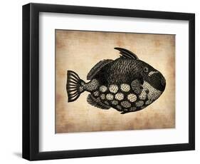 Vintage Fish-NaxArt-Framed Art Print