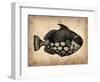 Vintage Fish-NaxArt-Framed Art Print