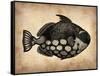 Vintage Fish-NaxArt-Framed Stretched Canvas