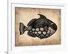 Vintage Fish-NaxArt-Framed Art Print