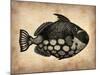 Vintage Fish-NaxArt-Mounted Art Print