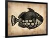 Vintage Fish-NaxArt-Framed Art Print