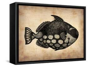 Vintage Fish-NaxArt-Framed Stretched Canvas