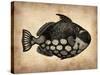 Vintage Fish-NaxArt-Stretched Canvas