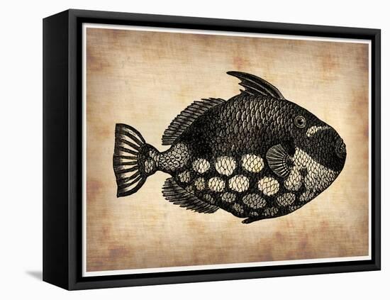 Vintage Fish-NaxArt-Framed Stretched Canvas