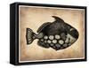 Vintage Fish-NaxArt-Framed Stretched Canvas