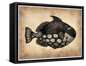 Vintage Fish-NaxArt-Framed Stretched Canvas