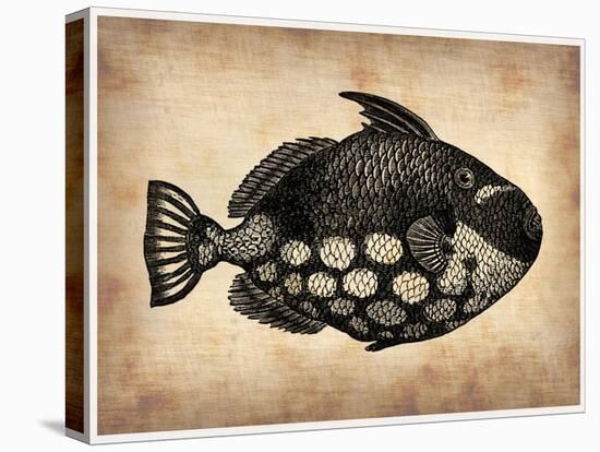 Vintage Fish-NaxArt-Stretched Canvas
