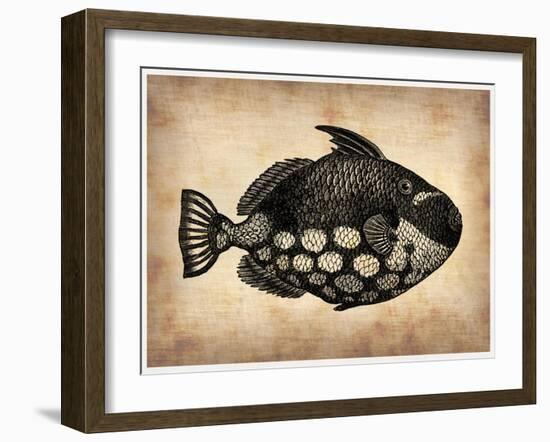 Vintage Fish-NaxArt-Framed Art Print