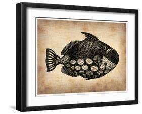 Vintage Fish-NaxArt-Framed Art Print