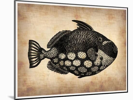 Vintage Fish-NaxArt-Mounted Art Print