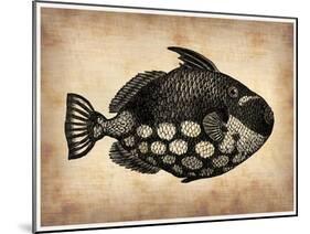 Vintage Fish-NaxArt-Mounted Art Print
