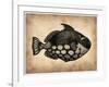 Vintage Fish-NaxArt-Framed Art Print