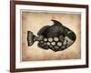 Vintage Fish-NaxArt-Framed Art Print