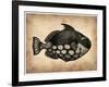 Vintage Fish-NaxArt-Framed Art Print