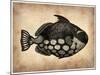 Vintage Fish-NaxArt-Mounted Art Print