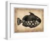 Vintage Fish-NaxArt-Framed Art Print