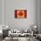 Vintage Flag Of Canada-ilolab-Art Print displayed on a wall
