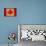 Vintage Flag Of Canada-ilolab-Art Print displayed on a wall