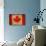 Vintage Flag Of Canada-ilolab-Art Print displayed on a wall