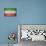 Vintage Flag of Iran-salajean-Stretched Canvas displayed on a wall