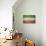 Vintage Flag of Iran-salajean-Stretched Canvas displayed on a wall