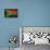 Vintage Flag Of South Africa-ilolab-Stretched Canvas displayed on a wall