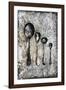 Vintage Flatware I-James Guilliam-Framed Giclee Print