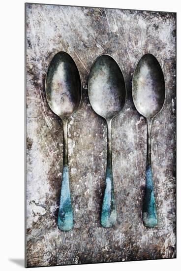 Vintage Flatware IV-James Guilliam-Mounted Giclee Print