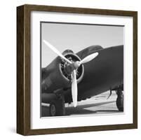 Vintage Flight IV-Janet Van Arsdale-Framed Art Print