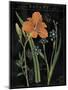 Vintage Flora II-Sue Schlabach-Mounted Art Print