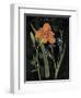 Vintage Flora II-Sue Schlabach-Framed Art Print