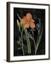 Vintage Flora II-Sue Schlabach-Framed Art Print
