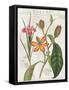 Vintage Flora III Ivory-Sue Schlabach-Framed Stretched Canvas