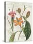 Vintage Flora III Ivory-Sue Schlabach-Stretched Canvas