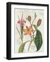 Vintage Flora III Ivory-Sue Schlabach-Framed Art Print