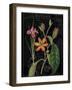 Vintage Flora III-Sue Schlabach-Framed Art Print