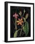 Vintage Flora III-Sue Schlabach-Framed Art Print