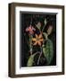 Vintage Flora III-Sue Schlabach-Framed Art Print