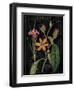 Vintage Flora III-Sue Schlabach-Framed Art Print