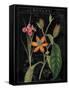 Vintage Flora III-Sue Schlabach-Framed Stretched Canvas