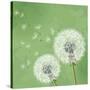 Vintage Floral Background With Dandelion-silvionka-Stretched Canvas