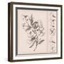 Vintage Flower Drawing-teacept-Framed Art Print