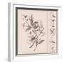 Vintage Flower Drawing-teacept-Framed Art Print