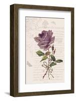 Vintage Flower I-Stephanie Monahan-Framed Art Print